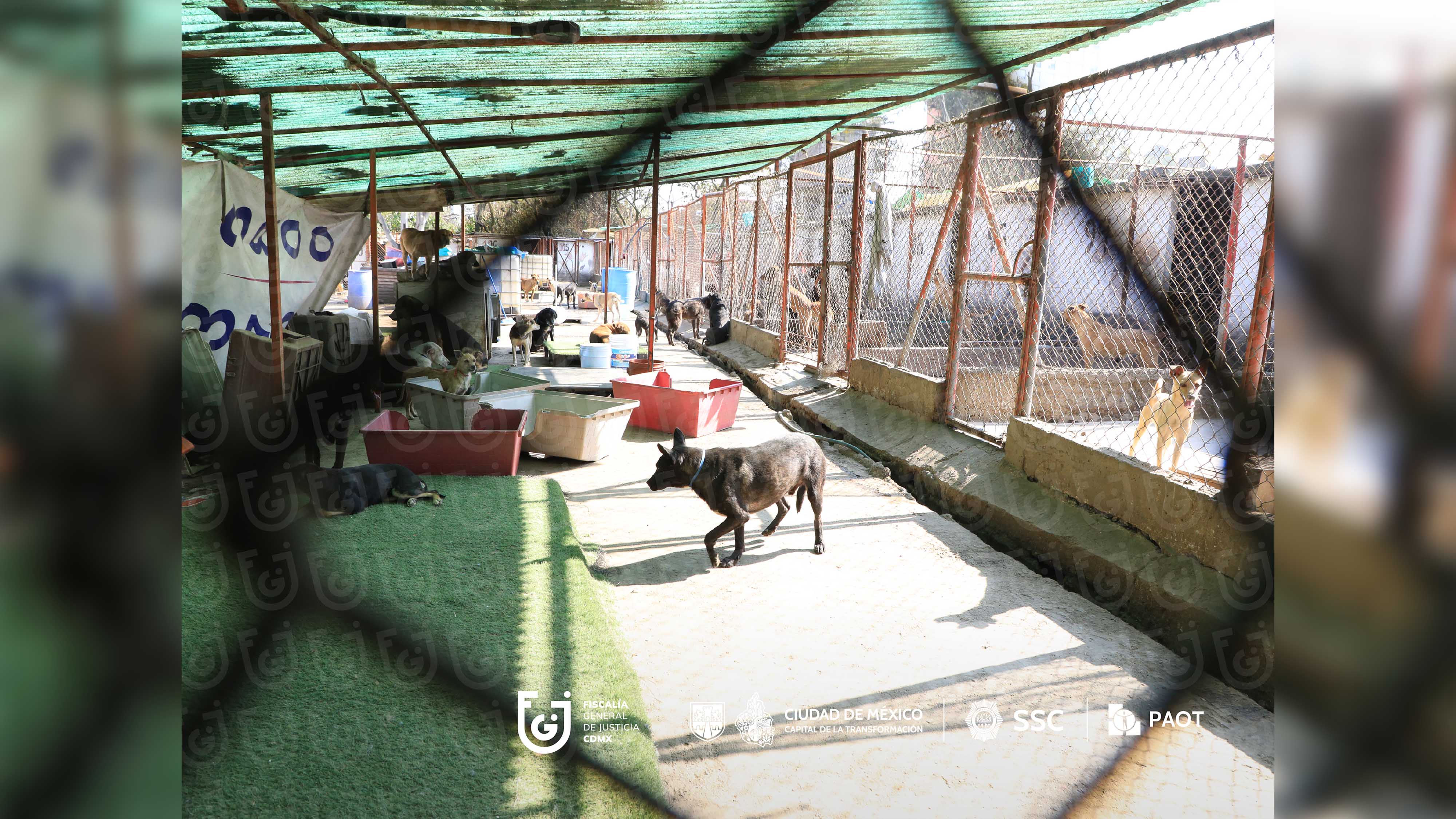 FGJCDMX Caso Refugio Franciscano -7.jpg