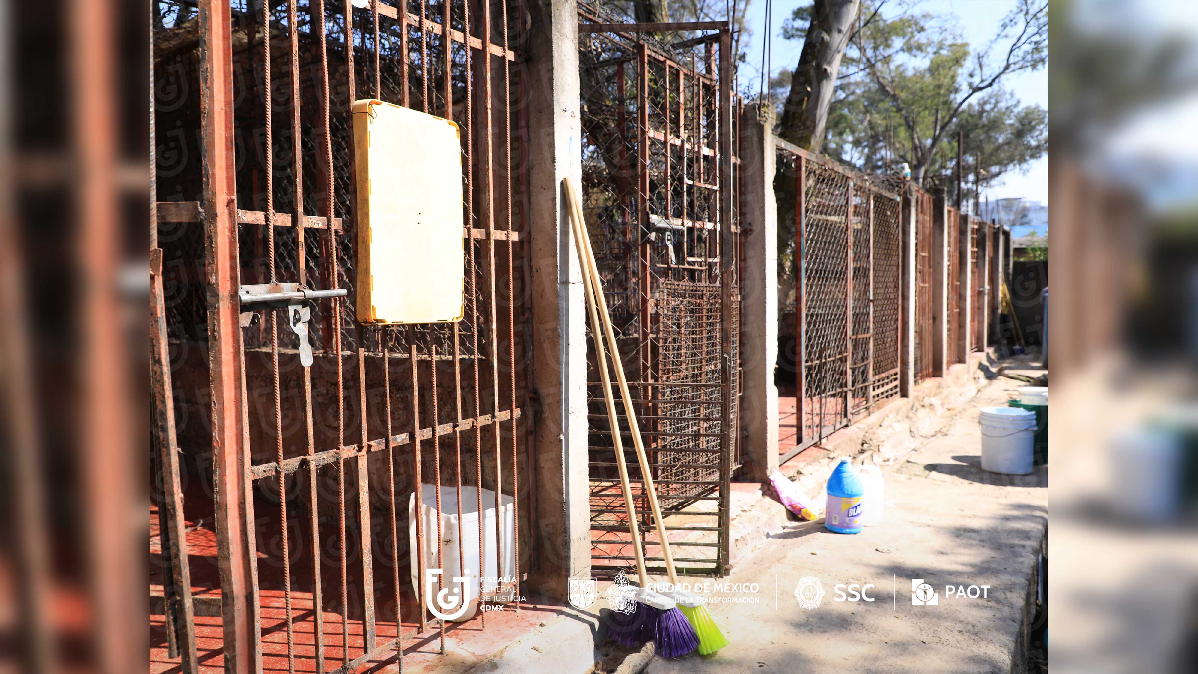 FGJCDMX Caso Refugio Franciscano -9.jpg