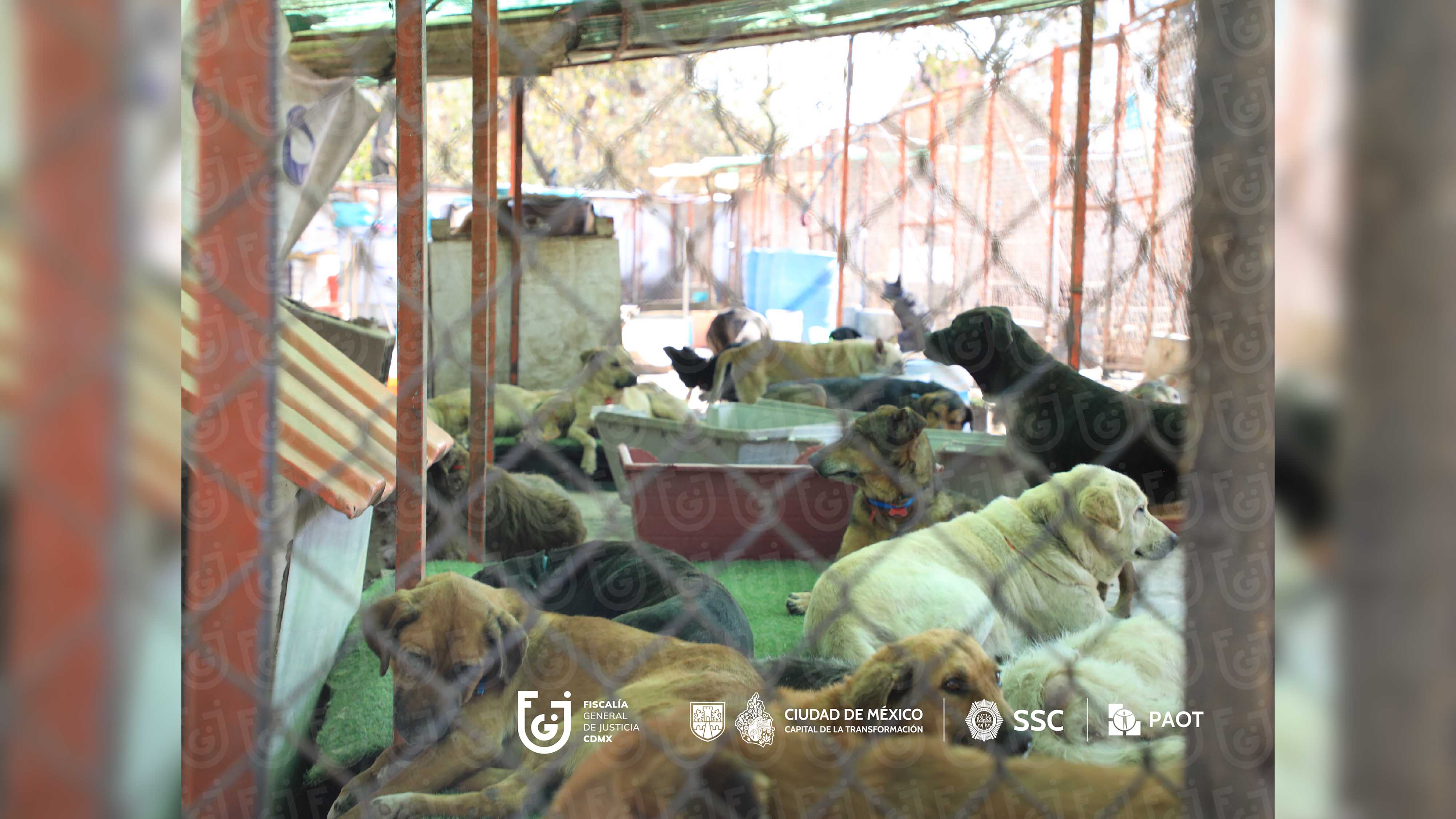 FGJCDMX Caso Refugio Franciscano -14.jpg