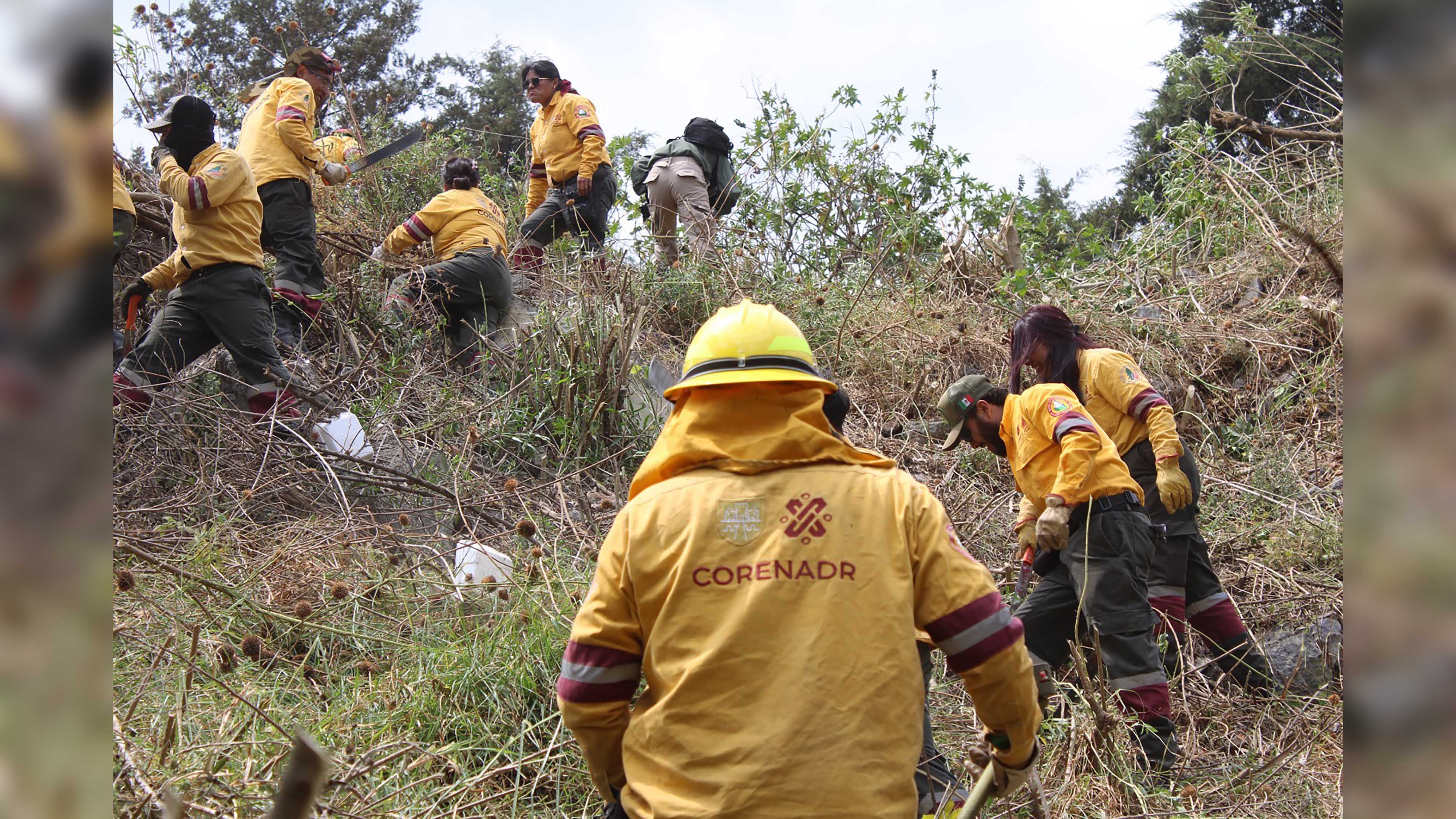Jornadas de búsqueda por patrones AO 6.jpg