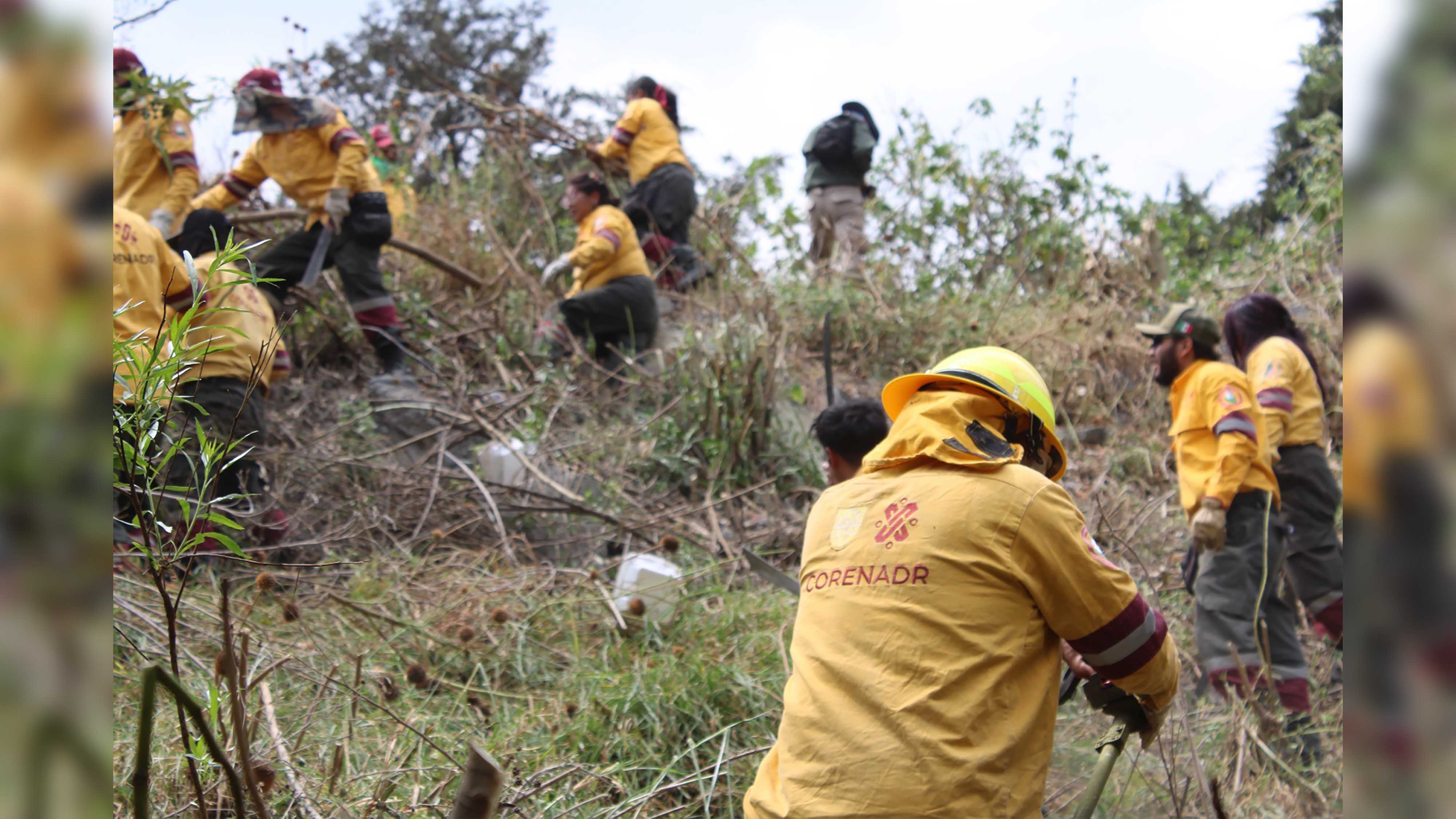Jornadas de búsqueda por patrones AO 13.jpg