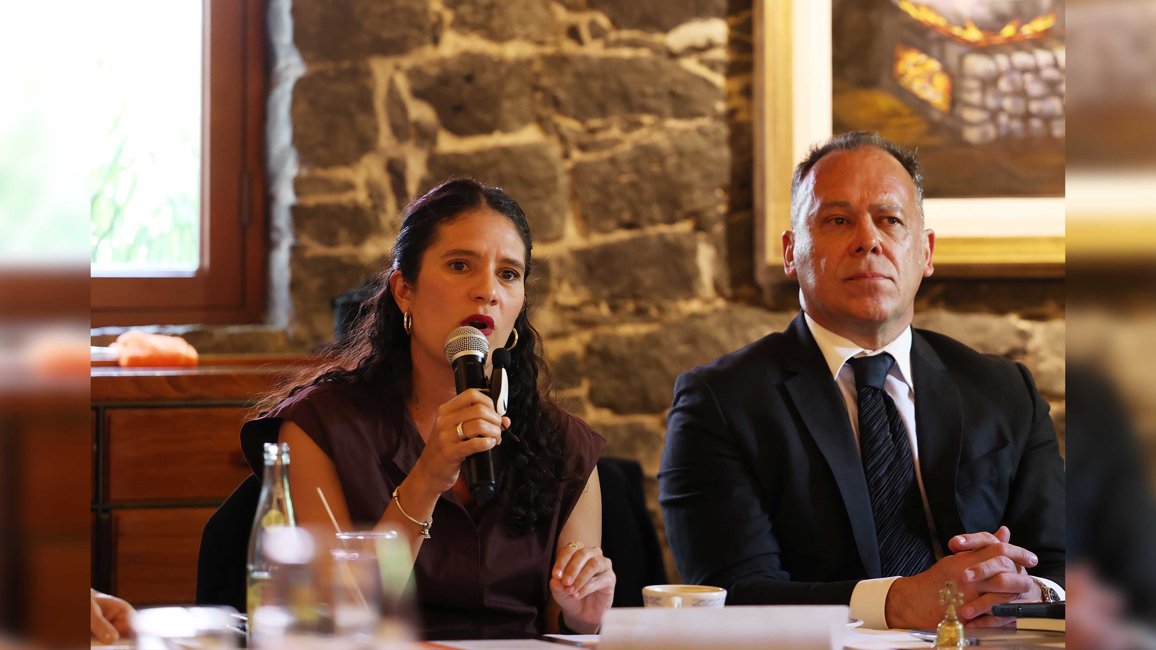 Sesión de la Academia Mexicana de Ciencias Penales 3.jpg