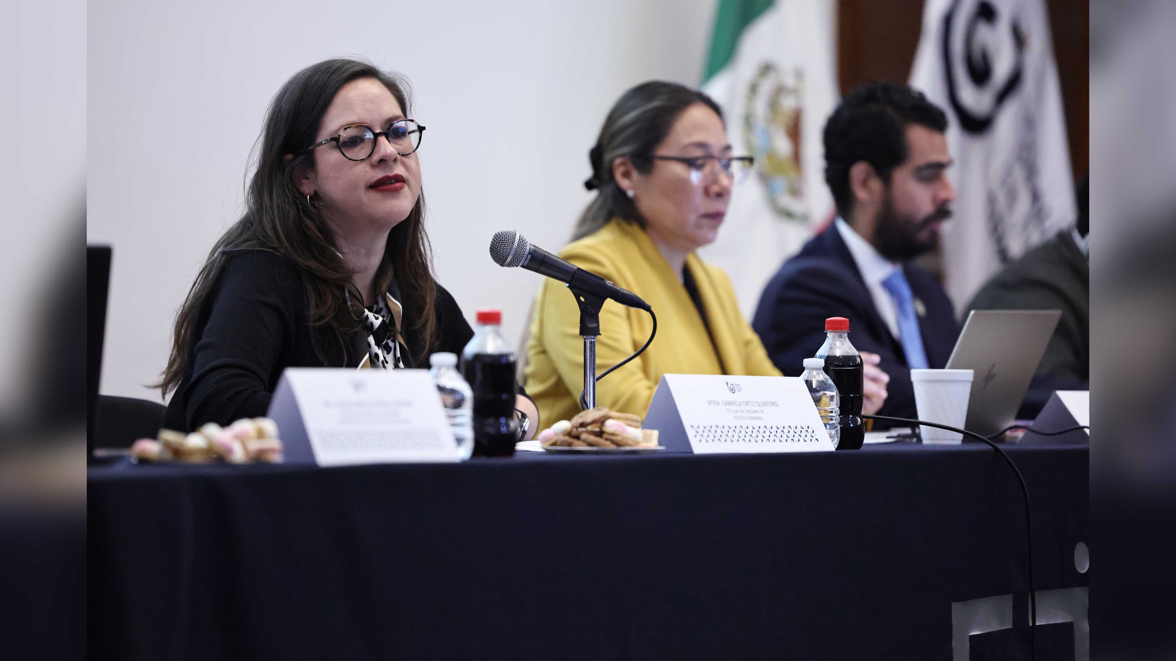 Reunión de trabajo MASC SODI 5.JPG